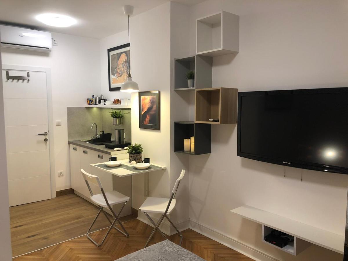 Vracar Apartment Bělehrad Exteriér fotografie