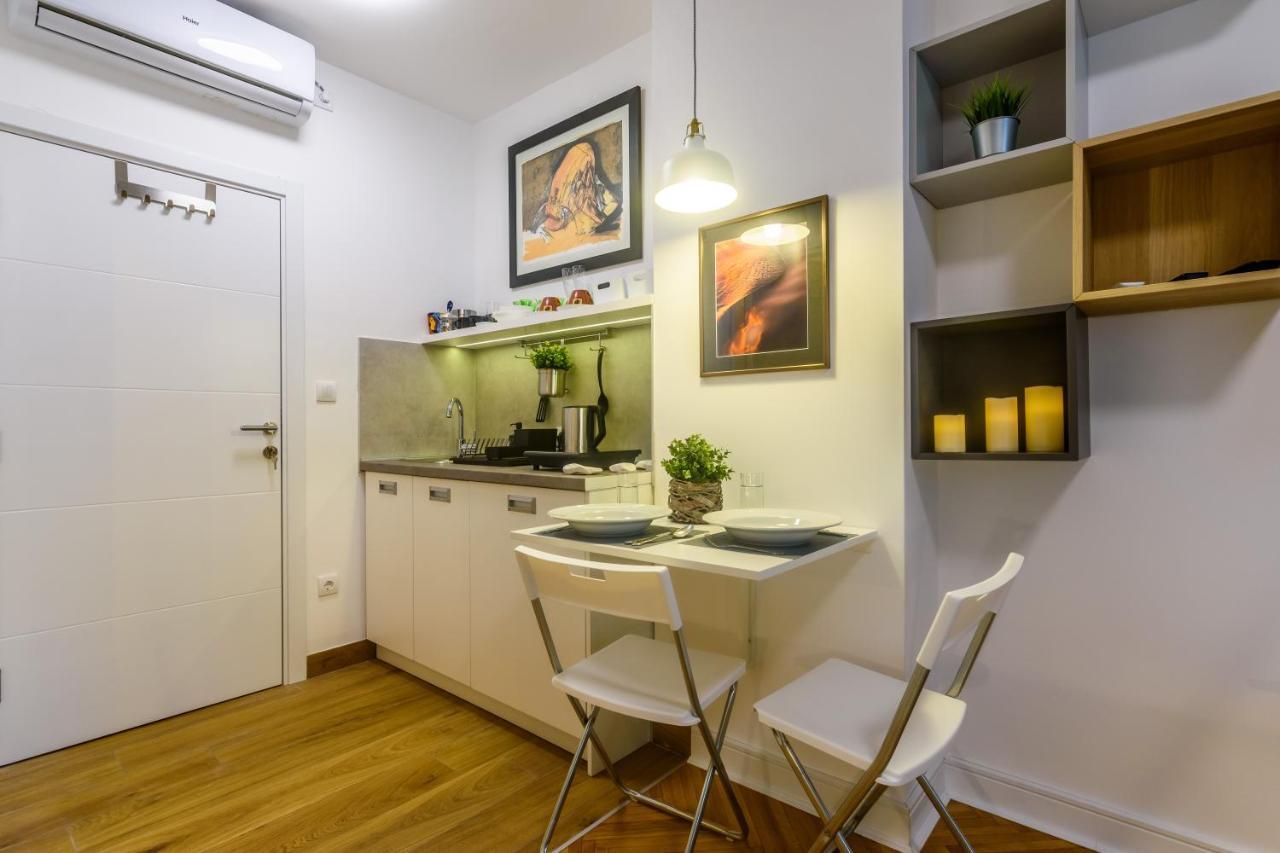 Vracar Apartment Bělehrad Exteriér fotografie